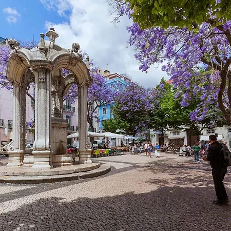 Апартаменты Chiado By Courtesy Morning